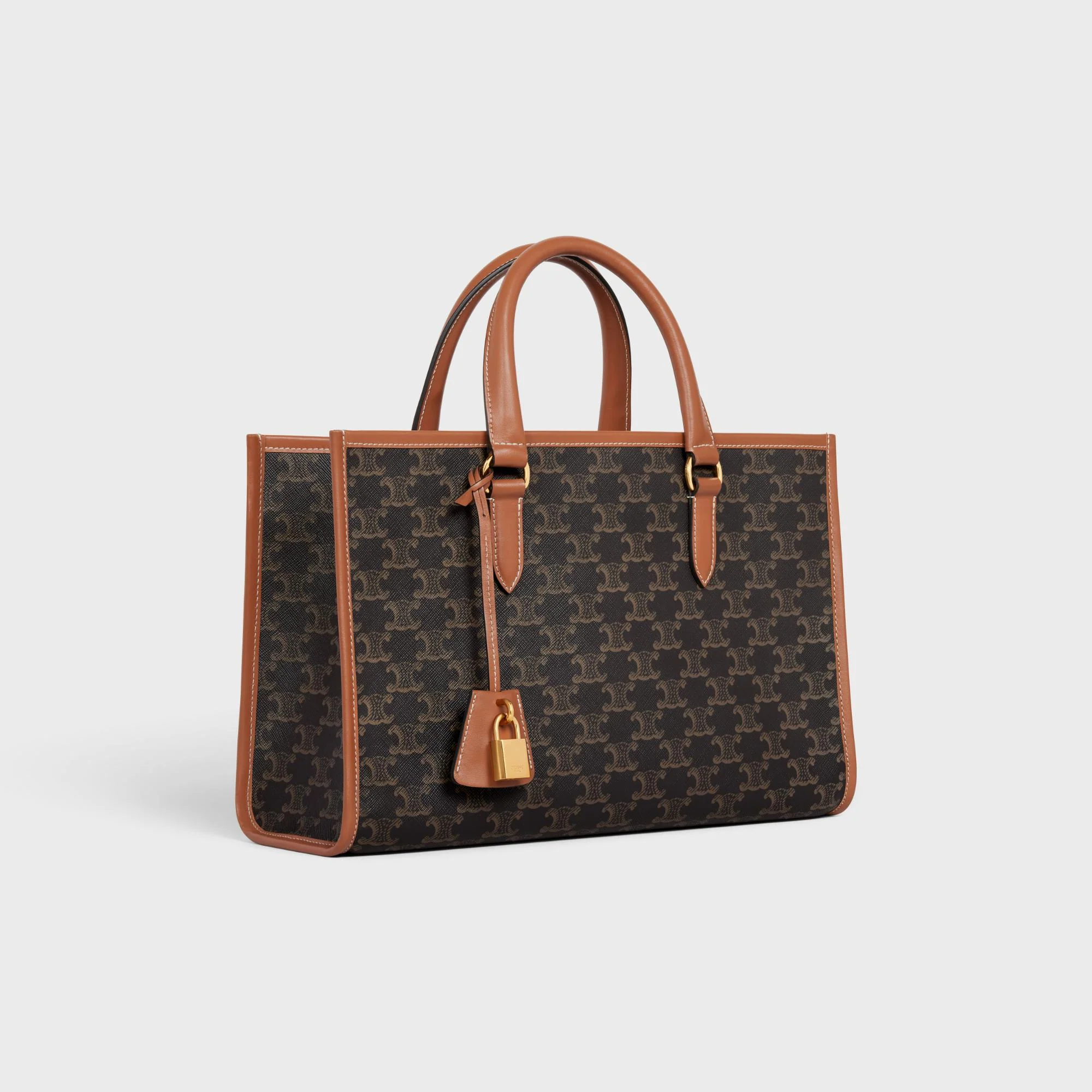 Triomphe Canvas Mini Horizontal Tote - Tan - Image 2