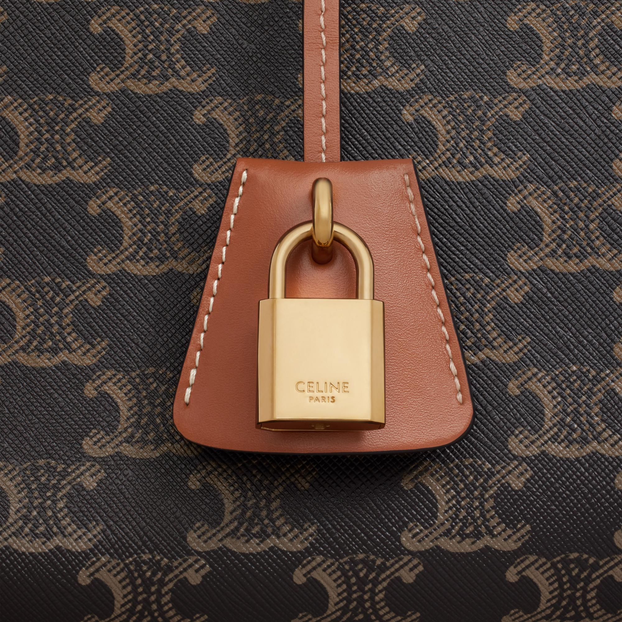 Triomphe Canvas Mini Horizontal Tote - Tan - Image 5
