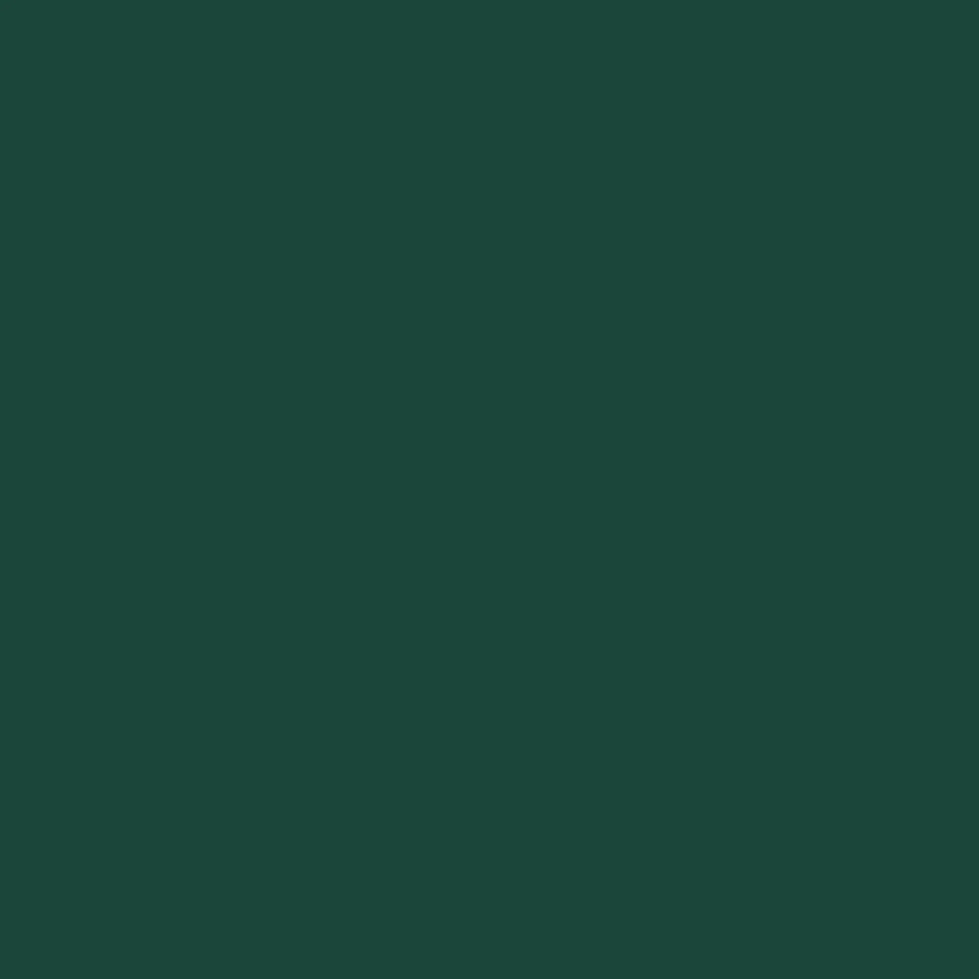 Pilot Sunglasses - Green/Dark Green - Image 6