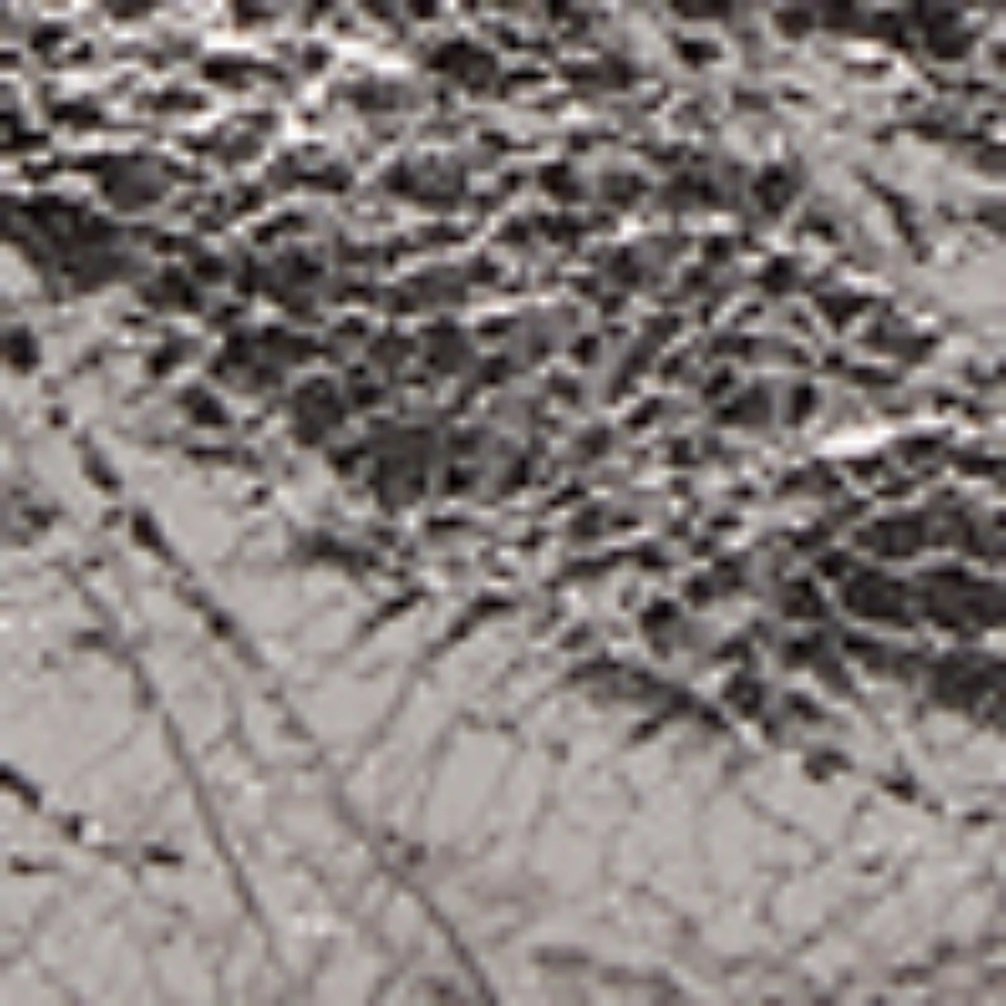 Neo Cagole XS - Silver - Image 5