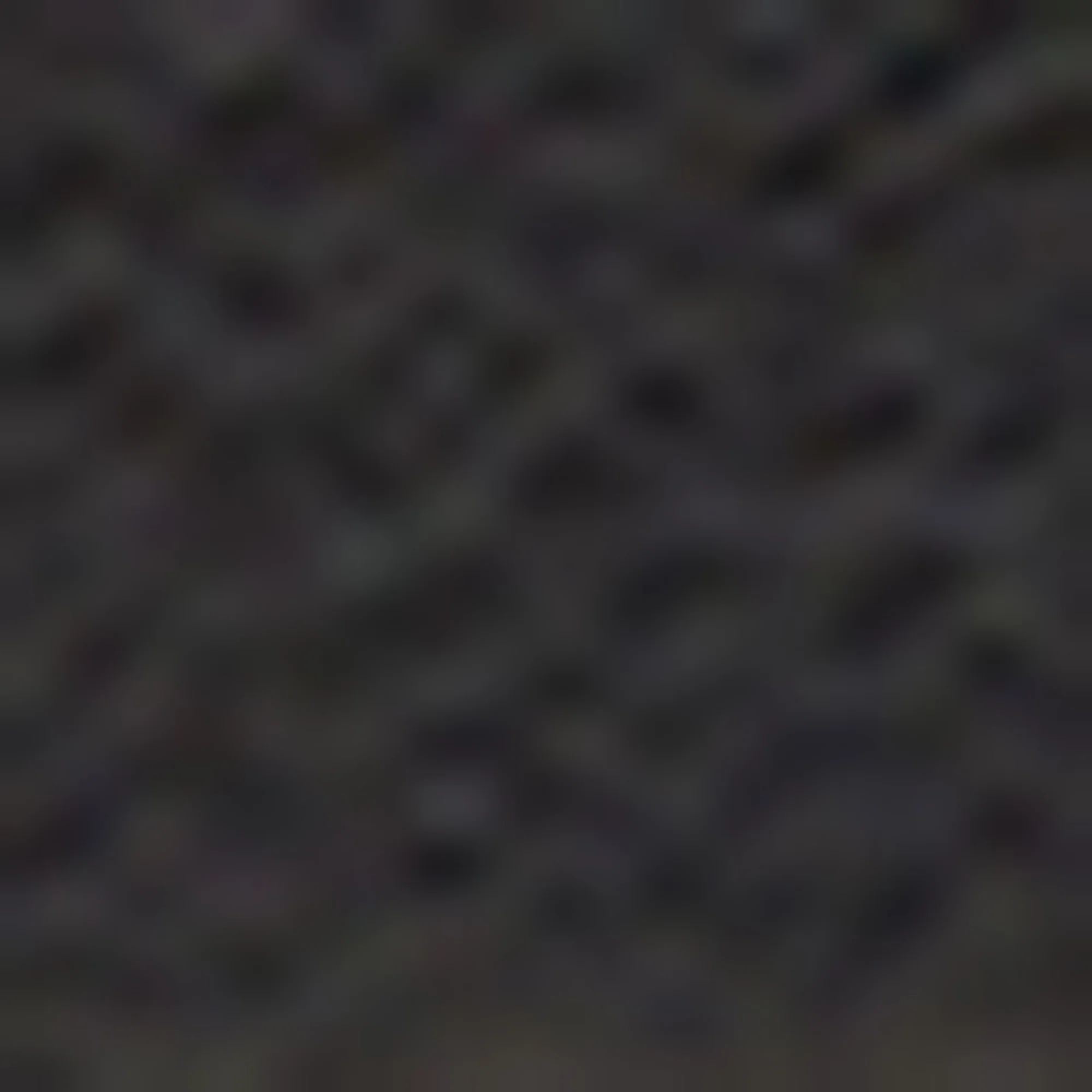 Belts BB Signature 15 - Black - Image 3