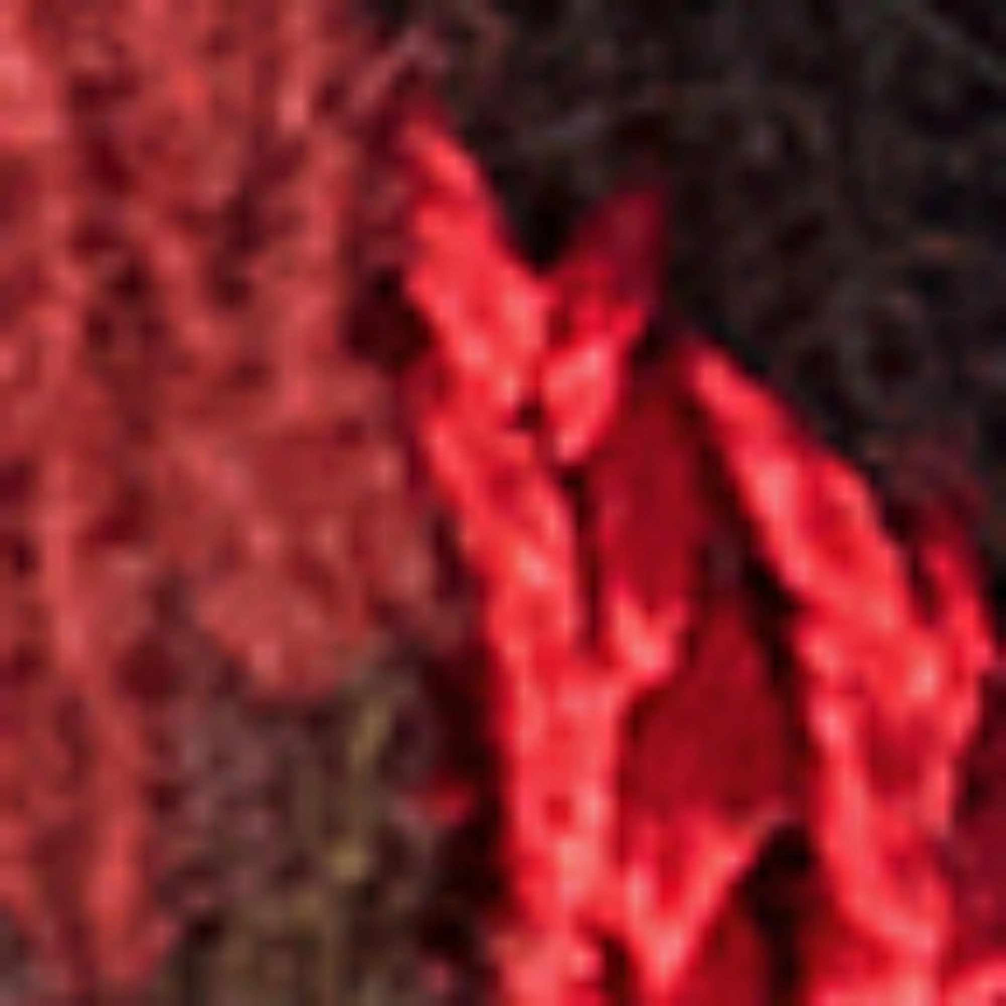 Geometric Jacquard Sweater - Spruce/Red - Image 2