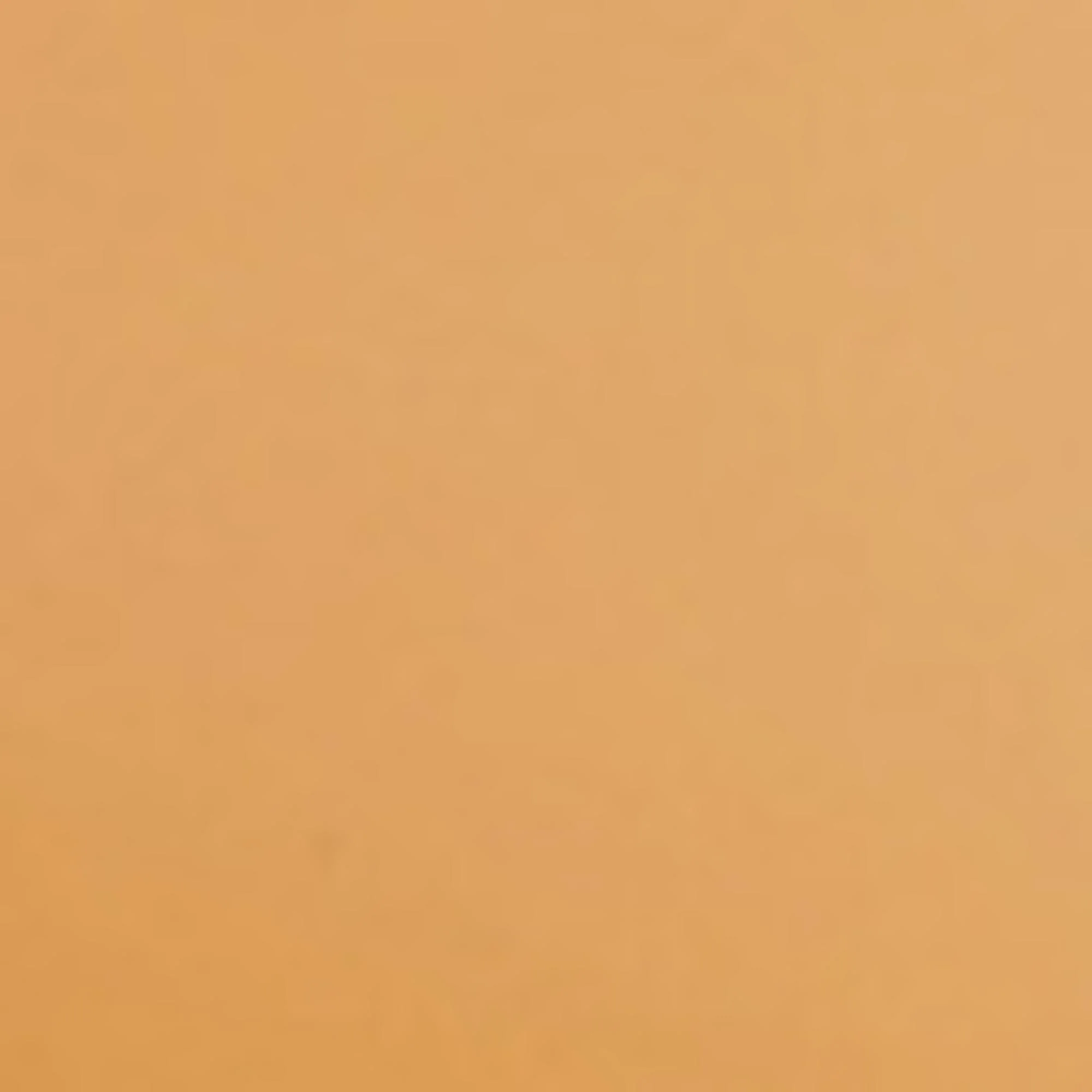 Sunglasses - Khaki - Image 3