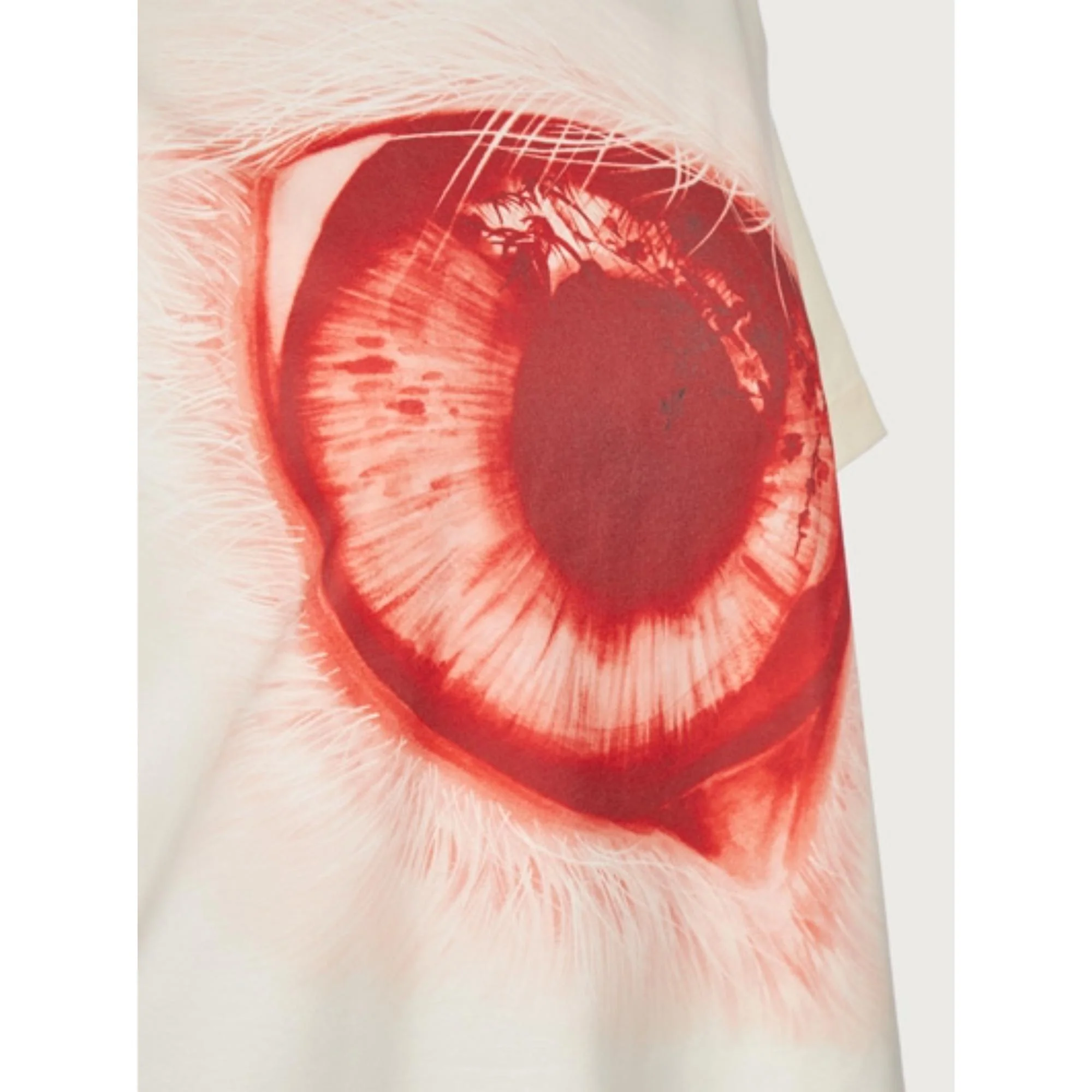 Eye Print T-Shirt - Milk - Image 2