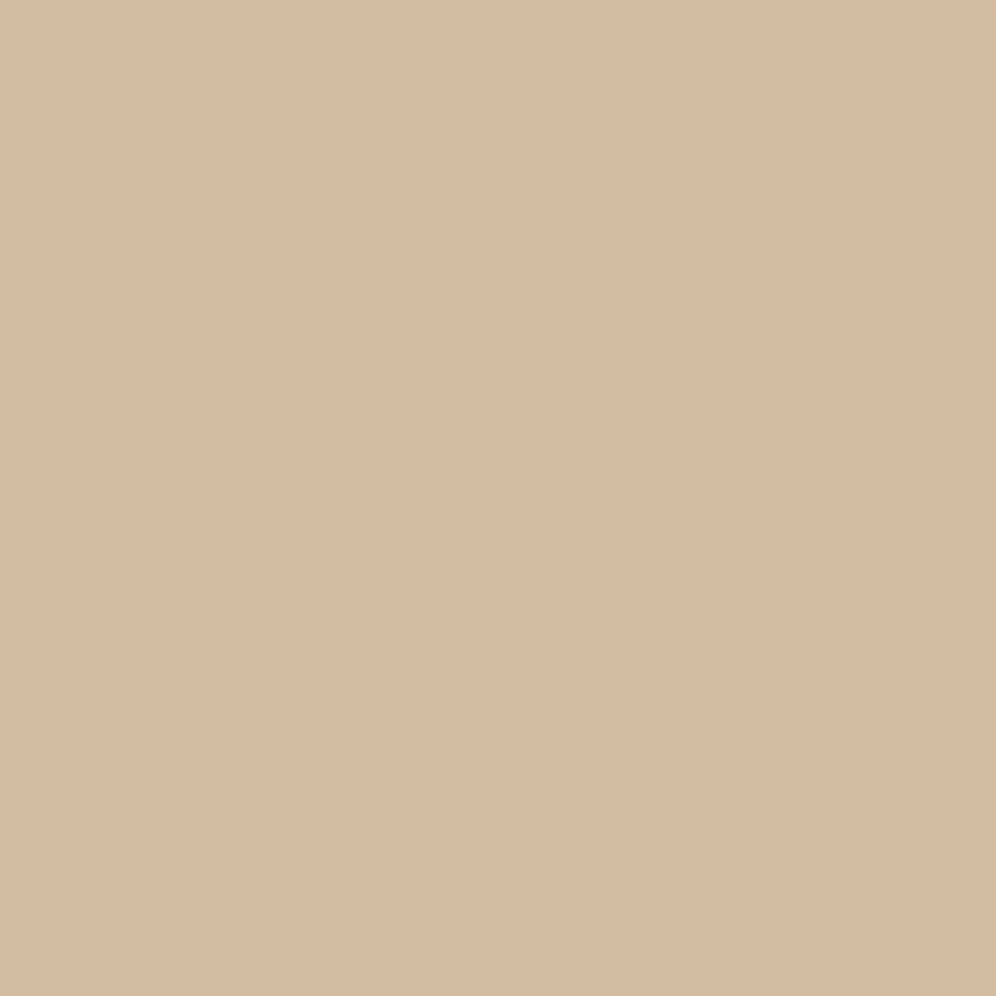 The Long Kensington Heritage Trench Coat - Honey - Image 14