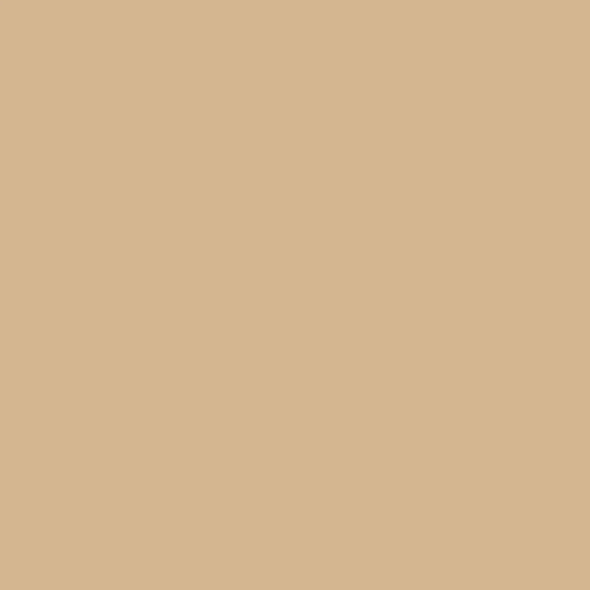 Long Waterloo Heritage Trench Coat - Honey - Image 17