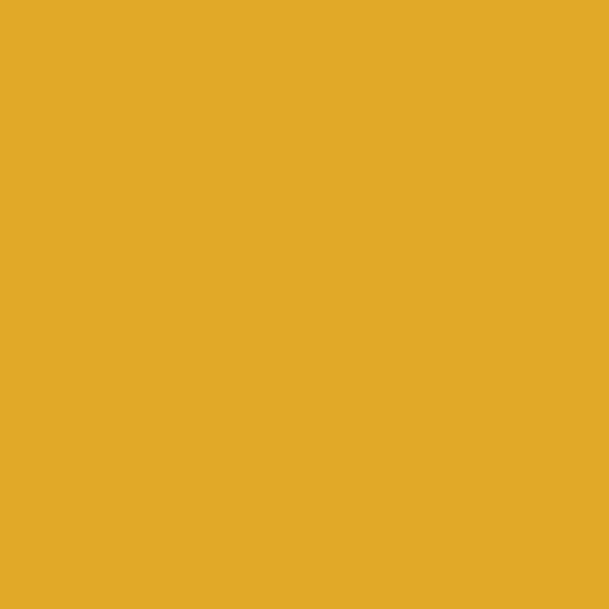 Cotton Cardigan - Cowslip - Image 4