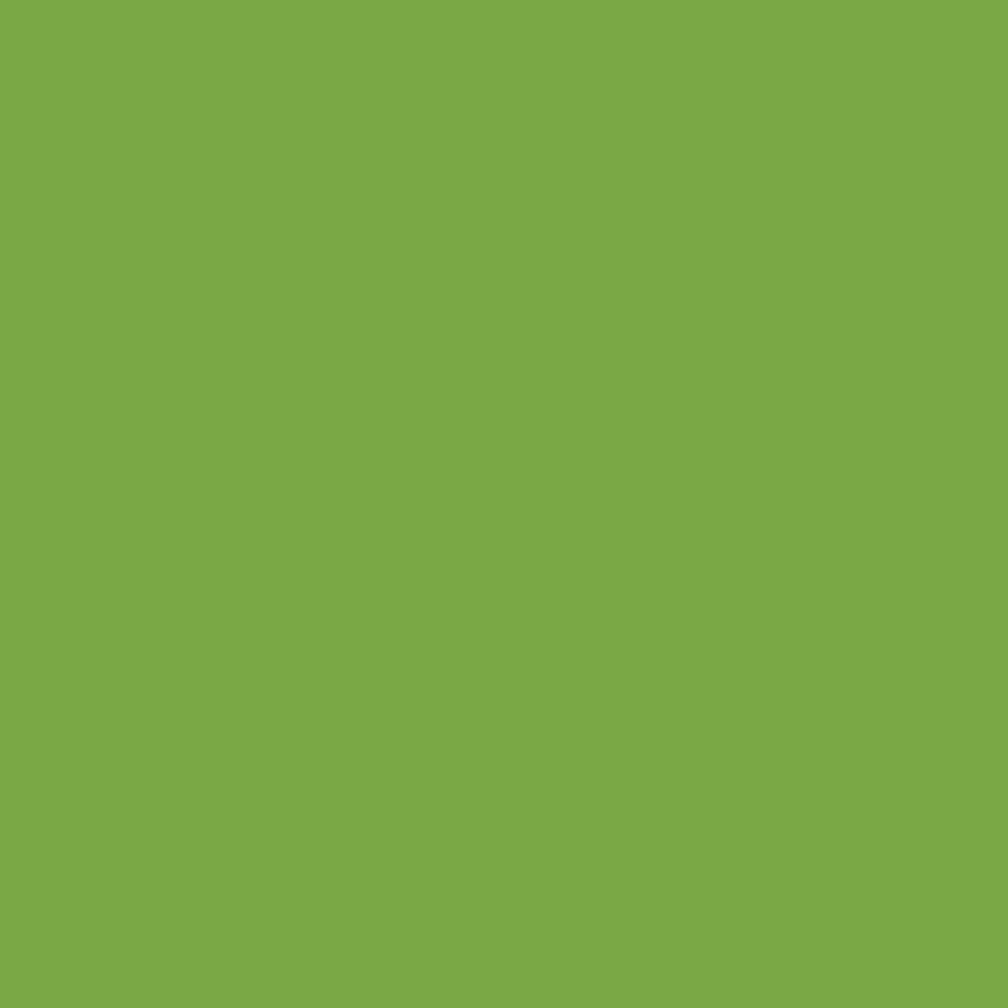 Check Swim Shorts - Bright Sorrel IP Check - Image 4
