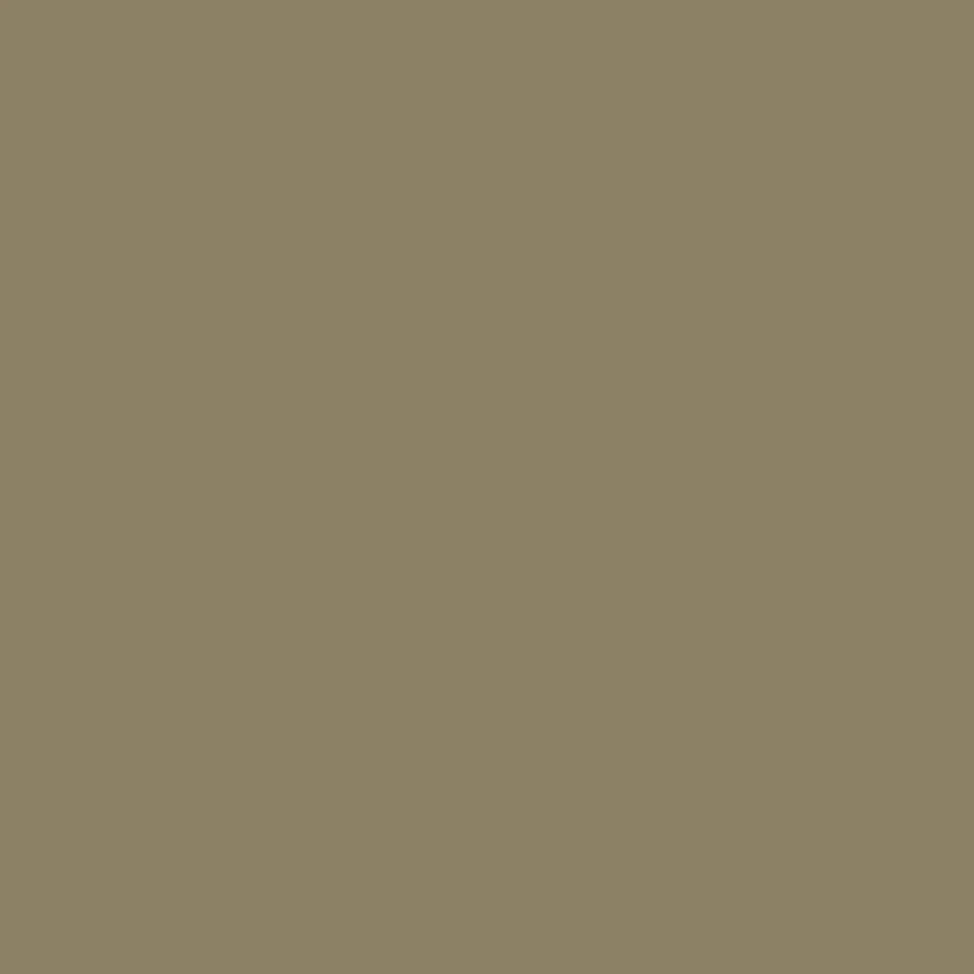 Cotton Chino Shorts - Tent - Image 7