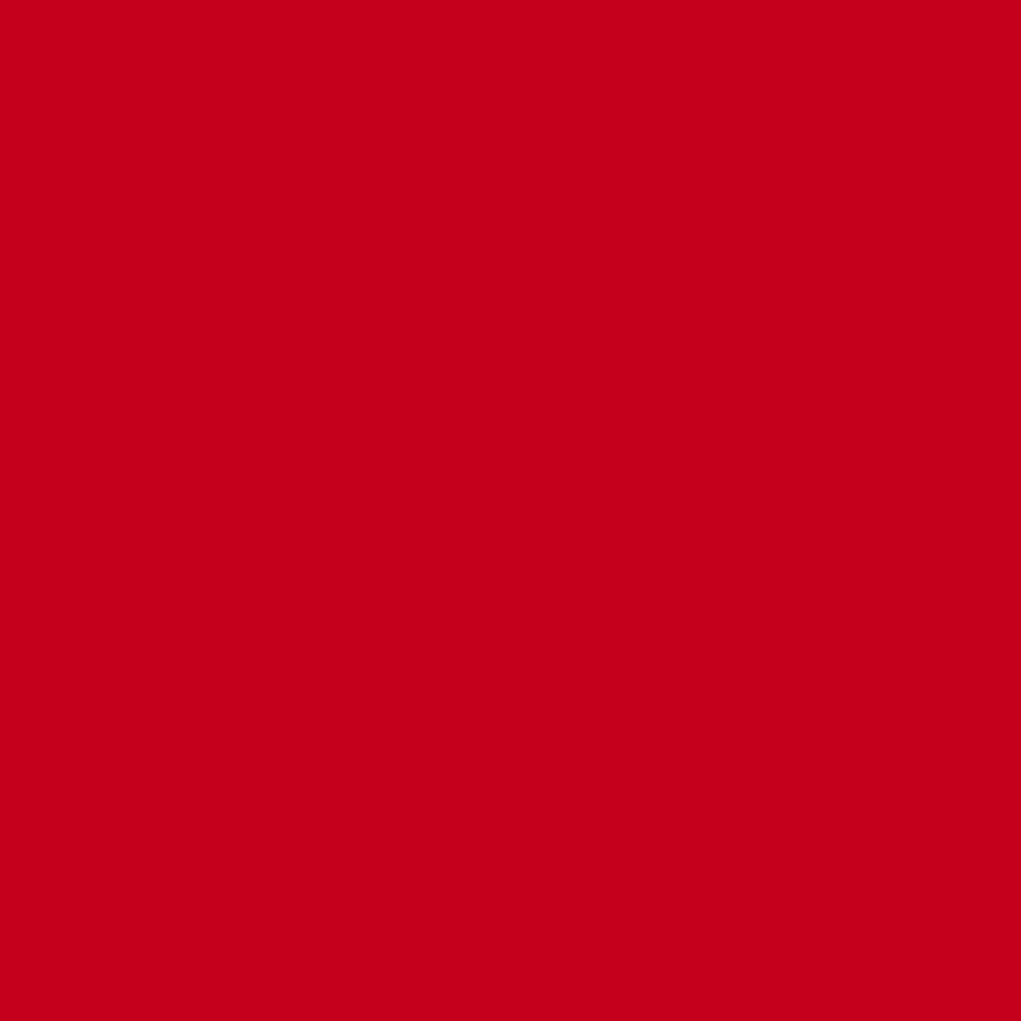 Shield Hardware Jersey Skirt - Silver/Red - Image 7
