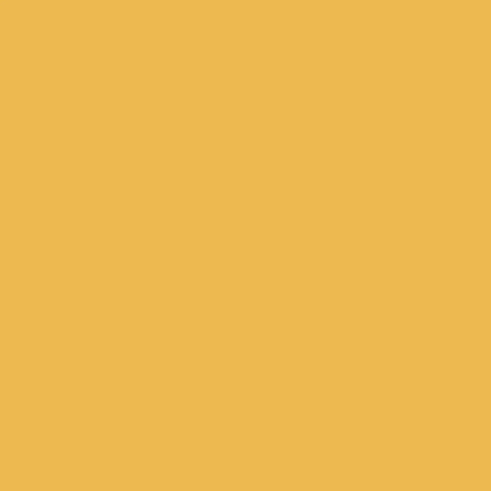 Cotton Blend Shirt Dress - Sunflower - Image 6