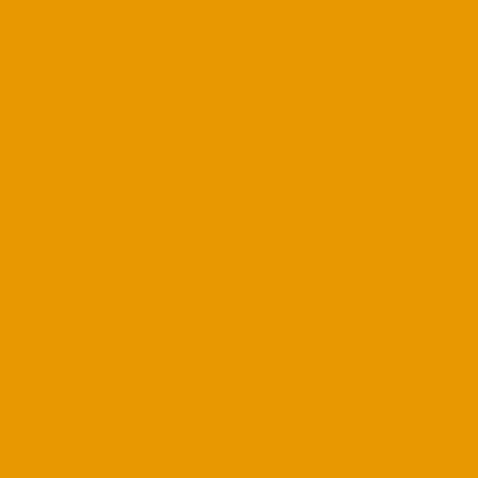 EKD Nylon Jacket - Sunflower - Image 7