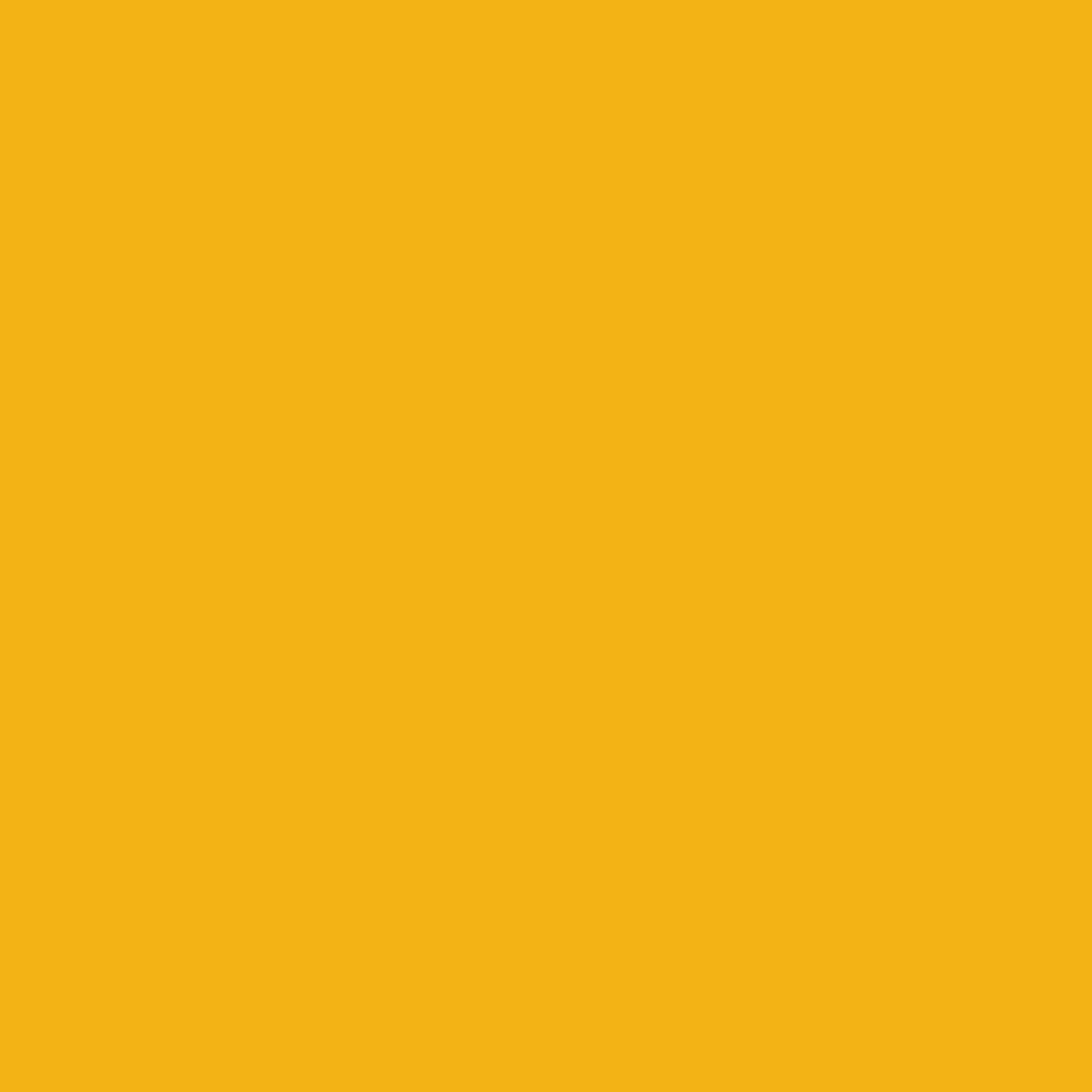 Bikini Briefs - Sunflower - Image 7