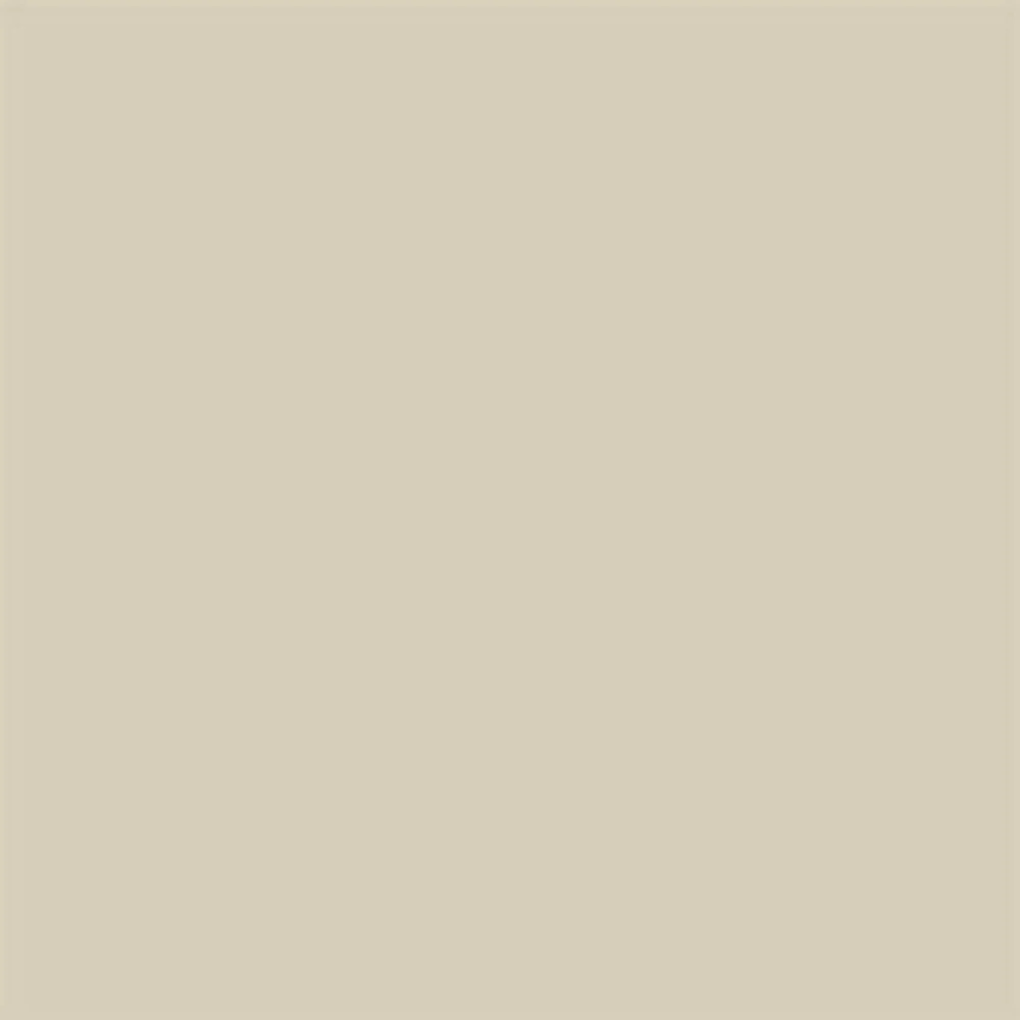Cotton T-shirt - Safari - Image 7