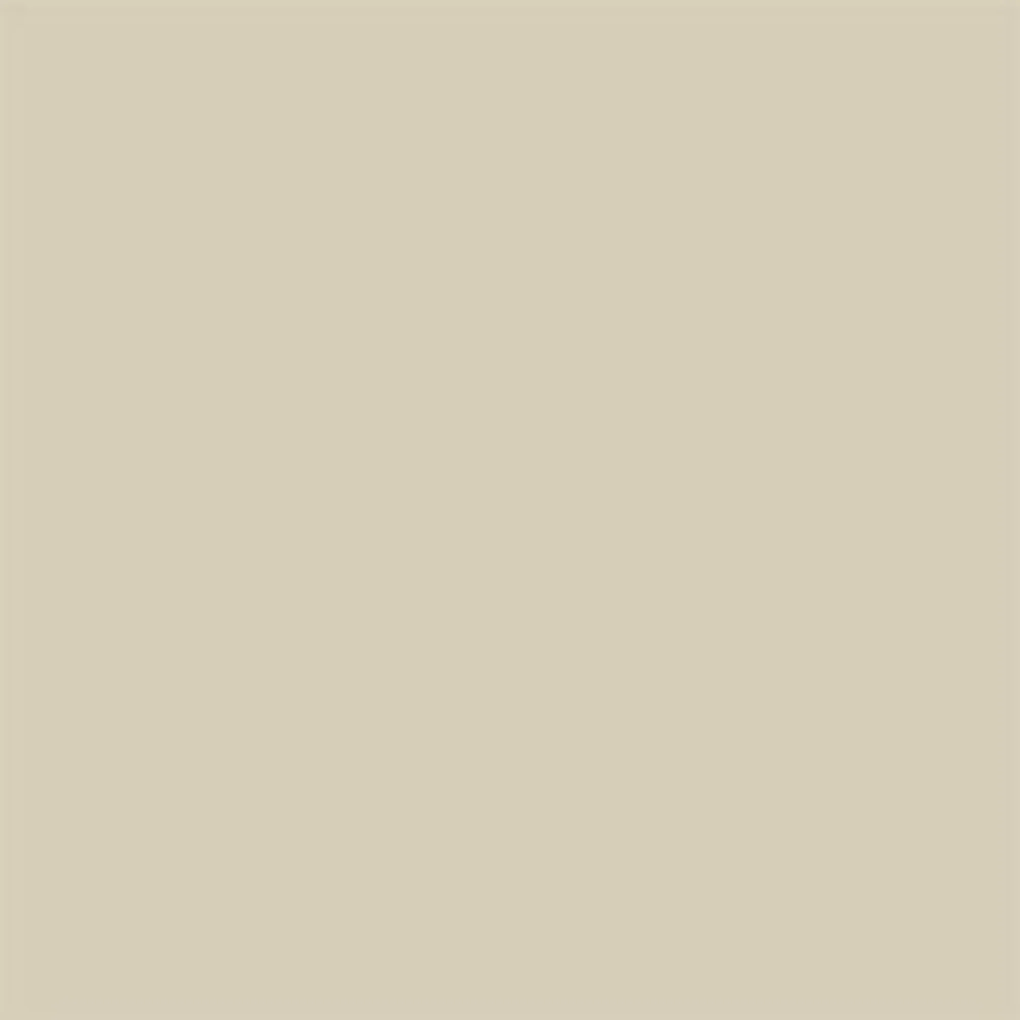 Cotton T-shirt - Safari - Image 7