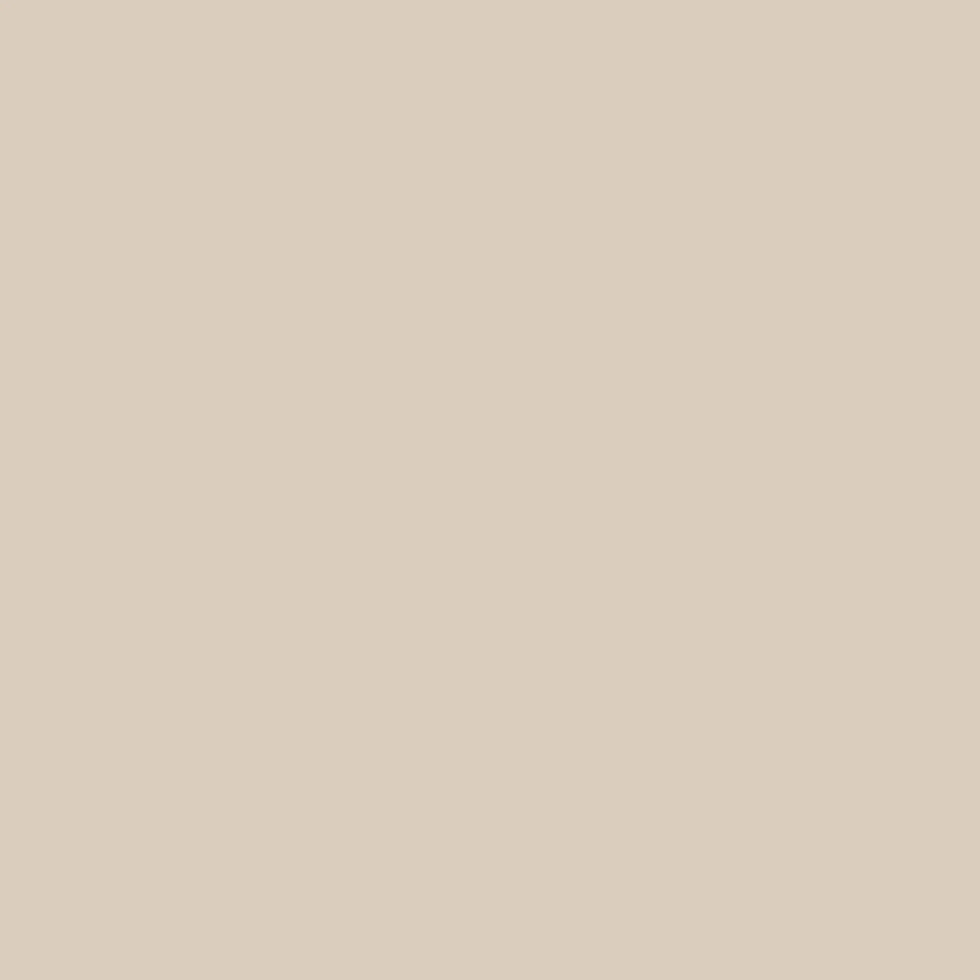 EKD Cotton T-shirt Dress - Soap - Image 7