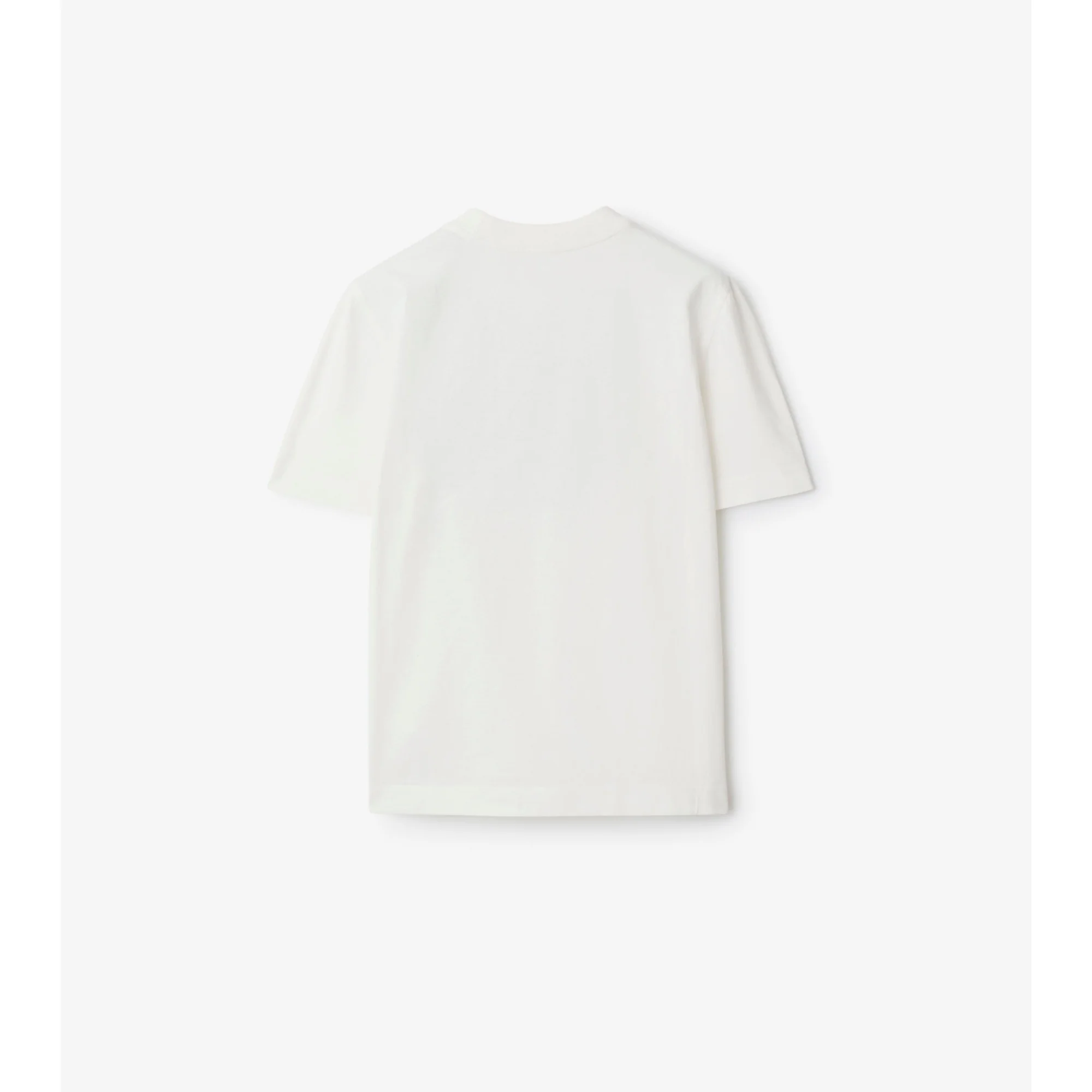 EKD Cotton T-shirt - Salt - Image 4