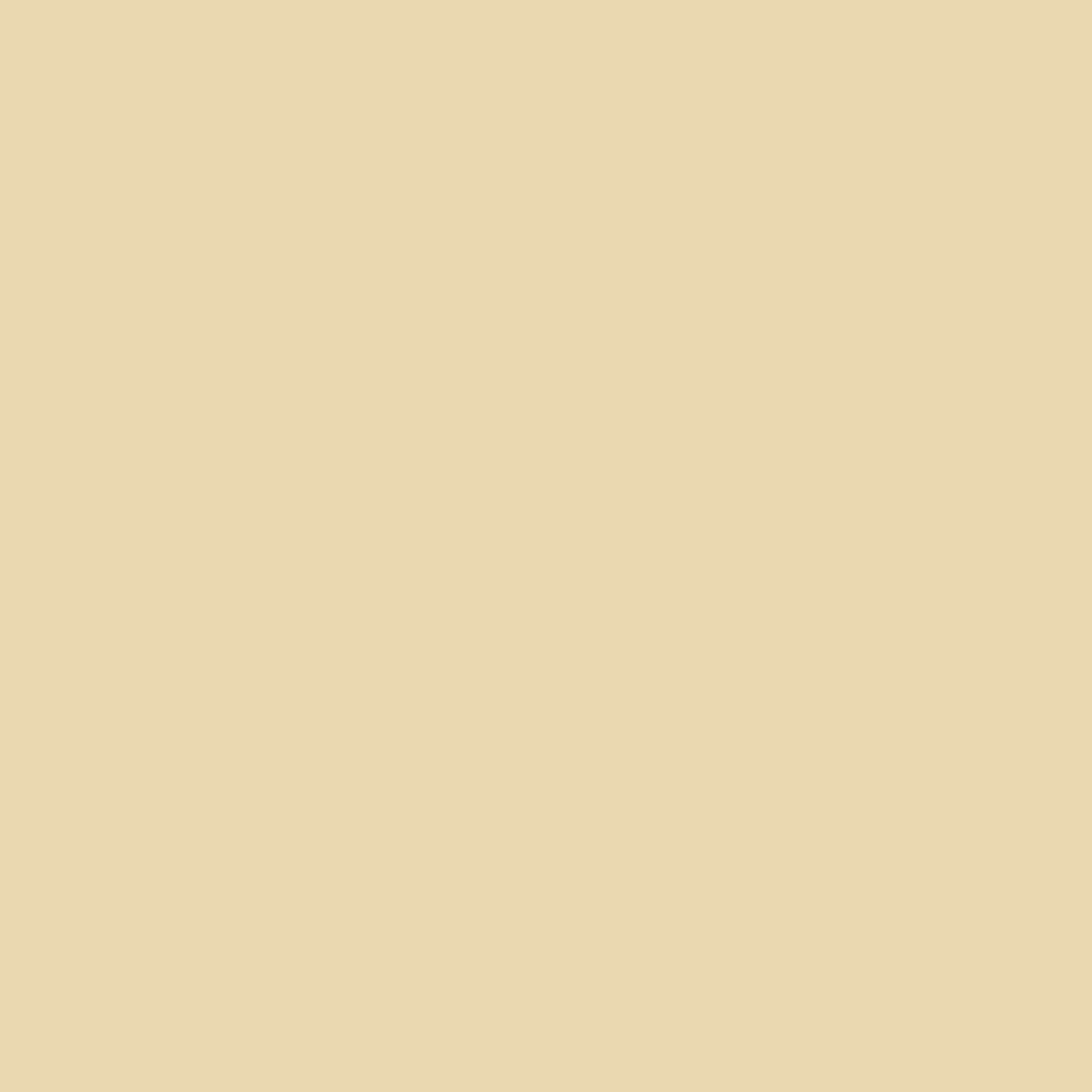 Reversible Cashmere Scarf - Sandstone - Image 6