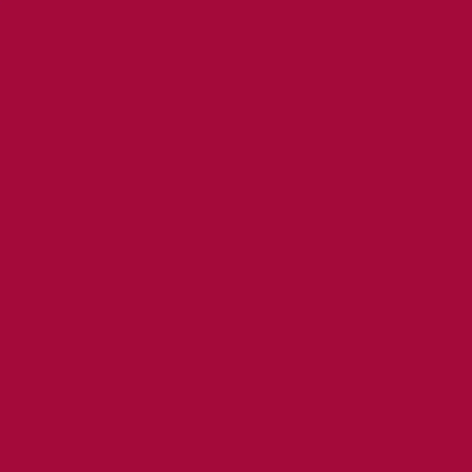 Mirrored Horse Silk Scarf - Cranberry - Image 5