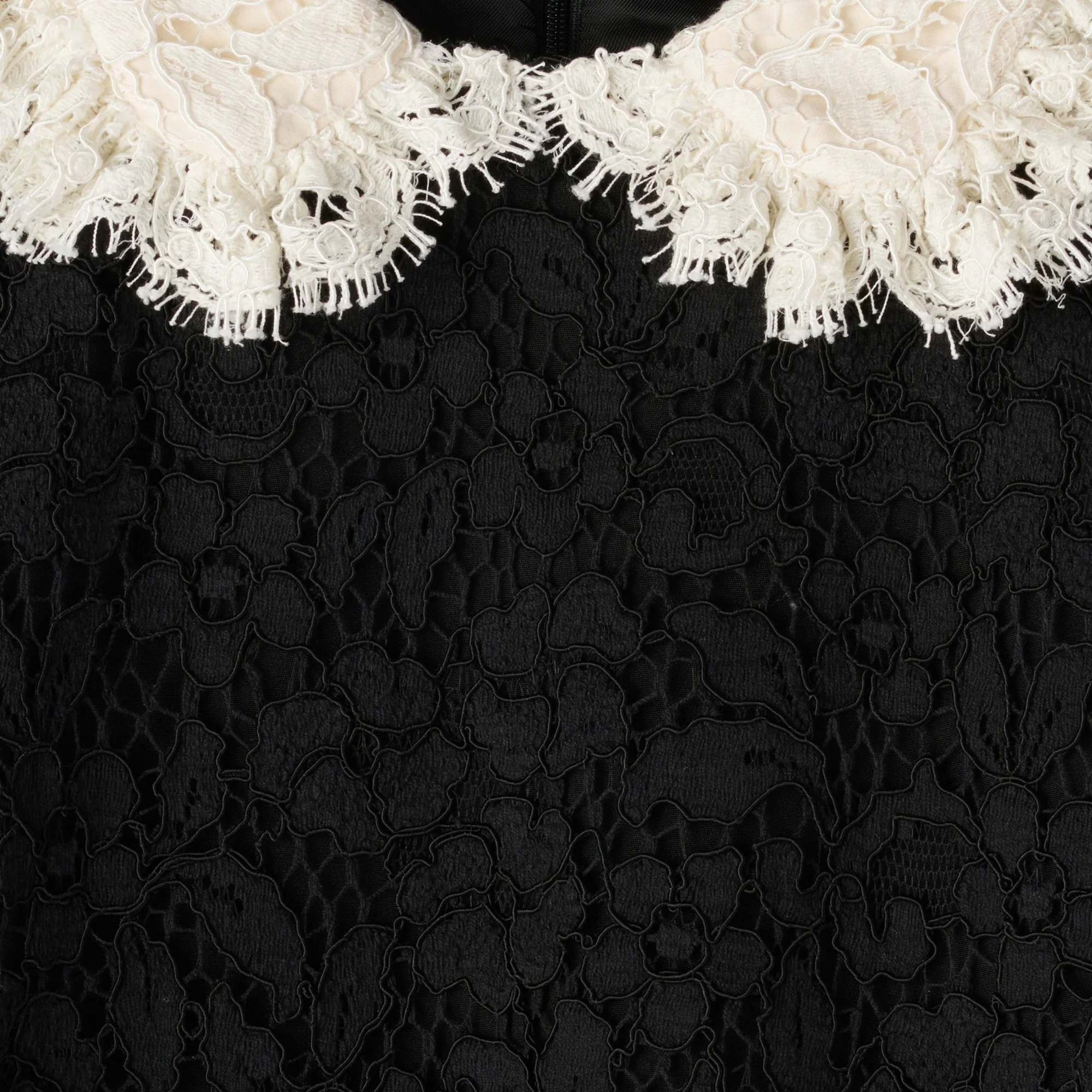 Mini Robe Trapèze Col Frill Dentelle Guipure - Black - Image 10